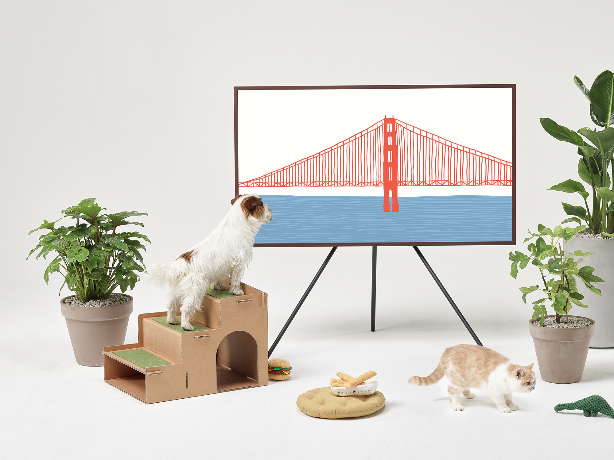 #FurTheWin: Build an eco-friendly home for your pets with Samsung’s boxes